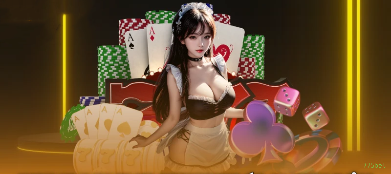 Estatísticas 775bet